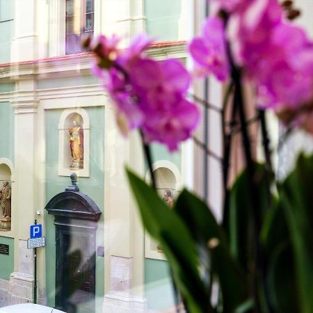 Cracwow St. Thomas Apartment Krakow Exterior photo